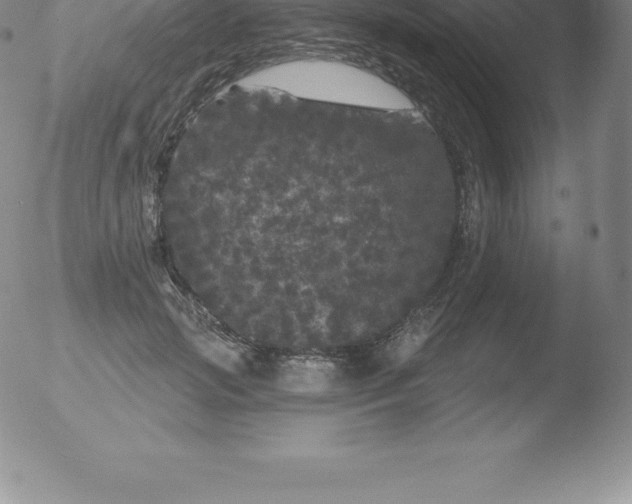 X0000051890749200507081938