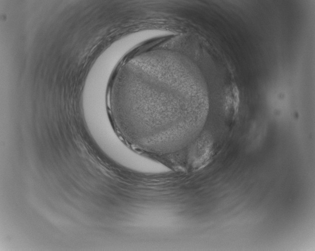 X0000051890750200507081938