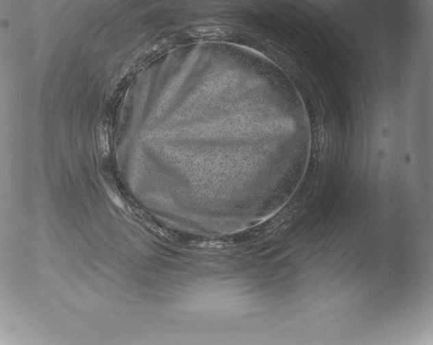 X0000051890751200507081938