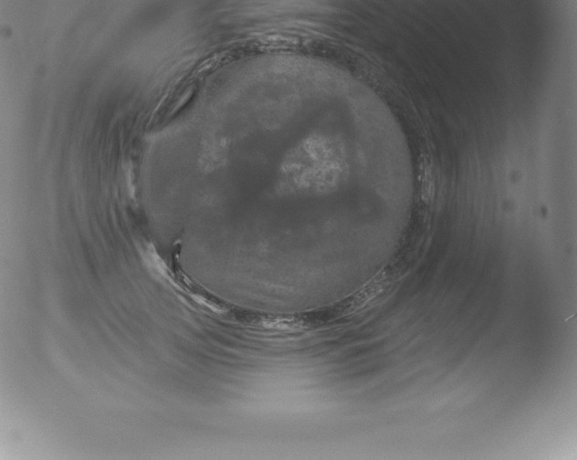 X0000051890753200507081938