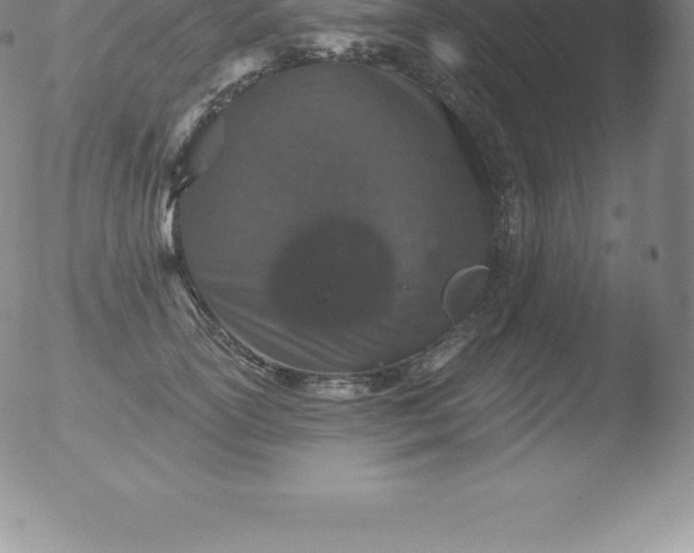 X0000051890754200507081938