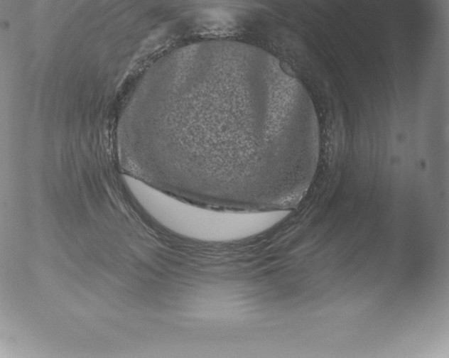 X0000051890755200507081938