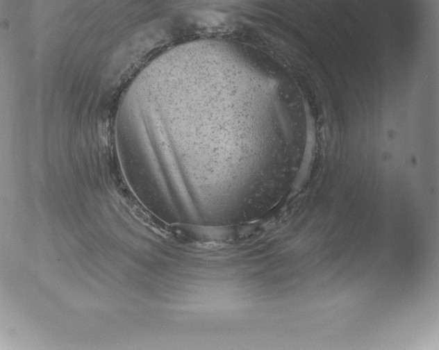 X0000051890756200507081938