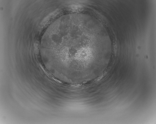 X0000051890757200507081938