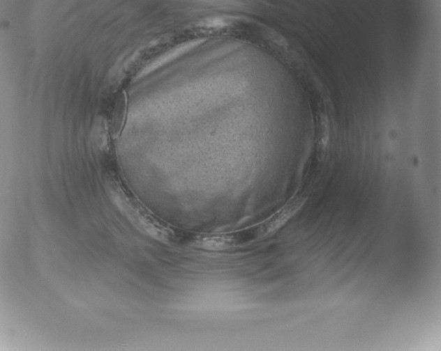 X0000051890758200507081938