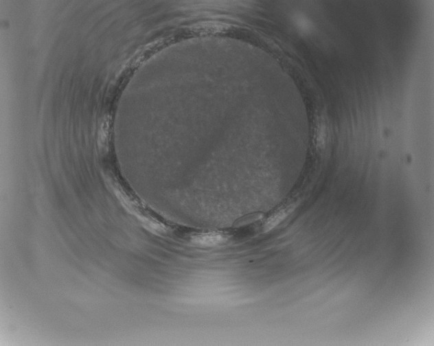 X0000051890759200507081938