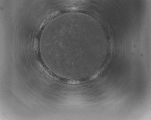 X0000051890760200507081938