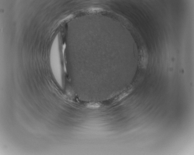 X0000051890762200507081938