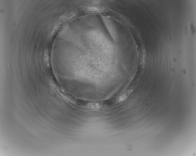 X0000051890764200507081938