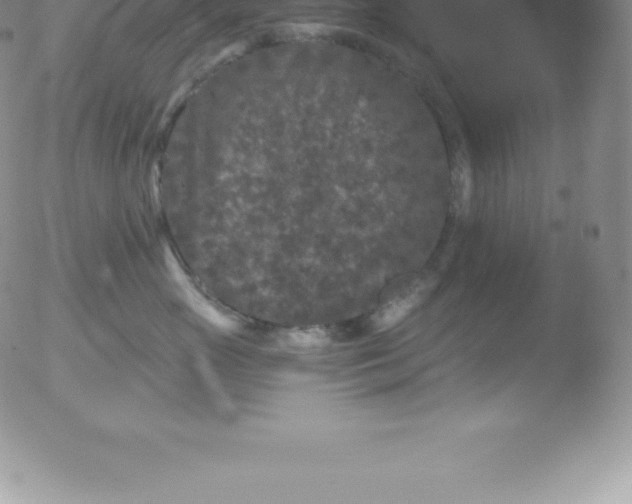 X0000051890765200507081938