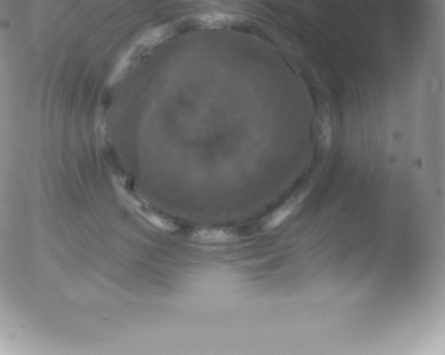 X0000051890766200507081938