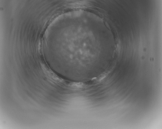 X0000051890767200507081938