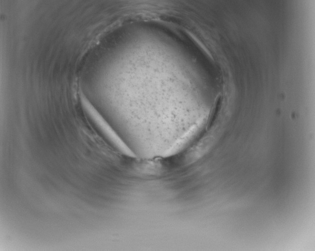 X0000051890768200507081939