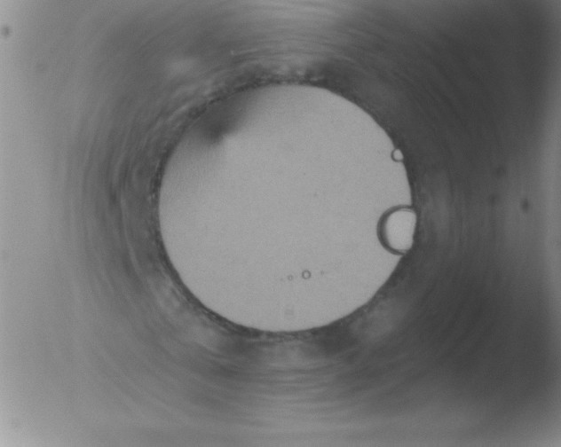 X0000051890769200507081938