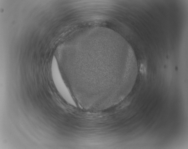 X0000051890771200507081938