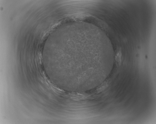 X0000051890772200507081938