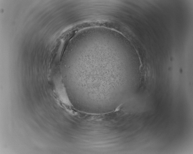 X0000051890773200507081938