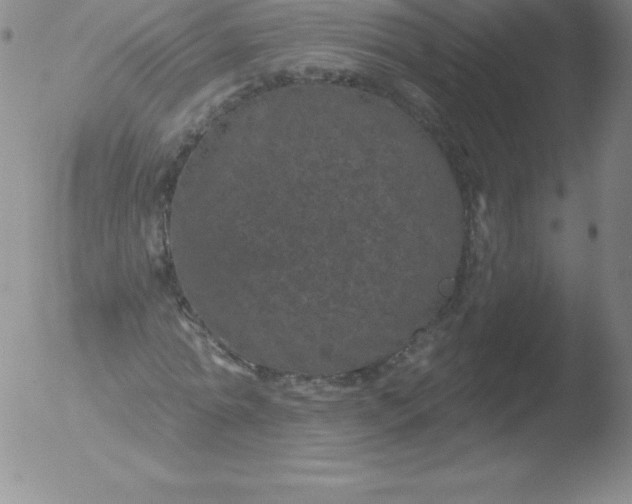 X0000051890774200507081938