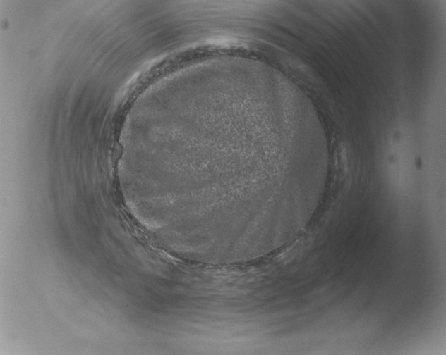 X0000051890776200507081938