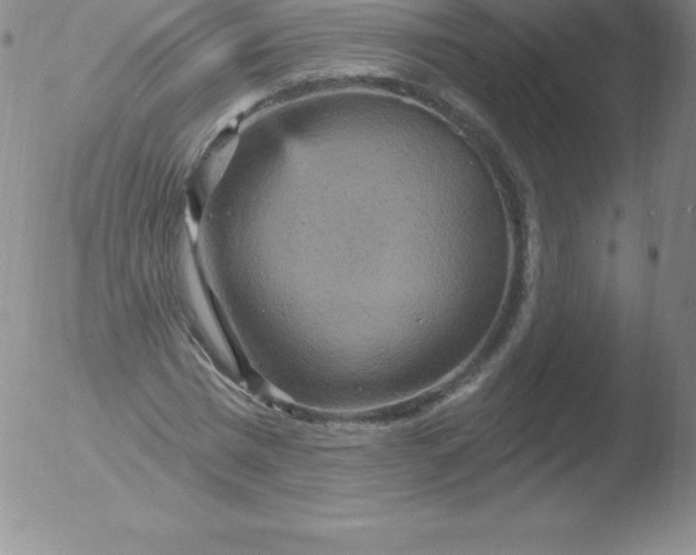 X0000051890777200507081938