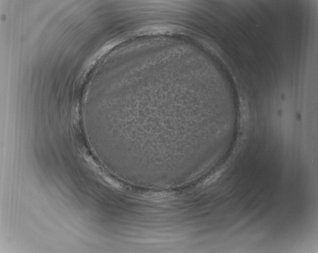 X0000051890778200507081938