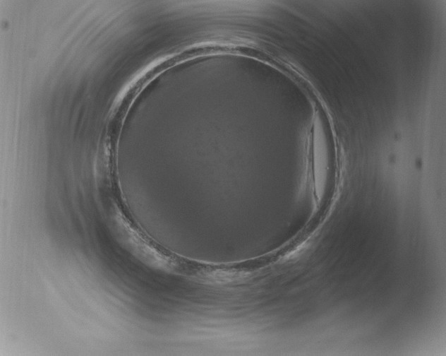 X0000051890779200507081938