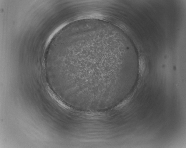 X0000051890780200507081938