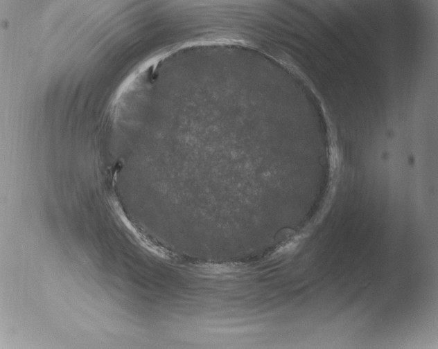 X0000051890781200507081938