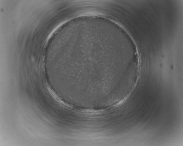 X0000051890783200507081937