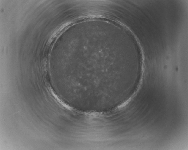 X0000051890785200507081937