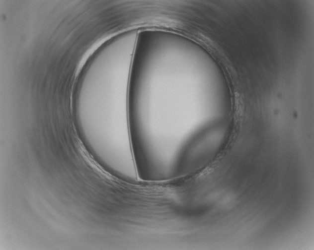 X0000051890788200507081937