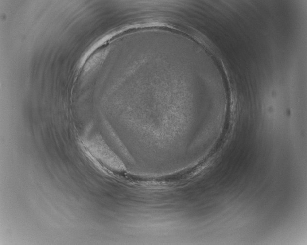 X0000051890789200507081937