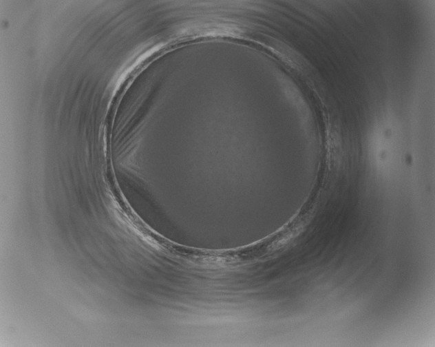 X0000051890790200507081937