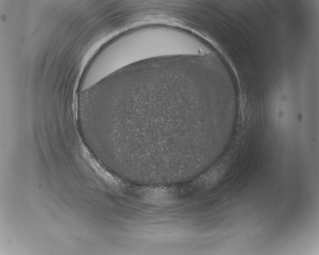 X0000051890791200507081937