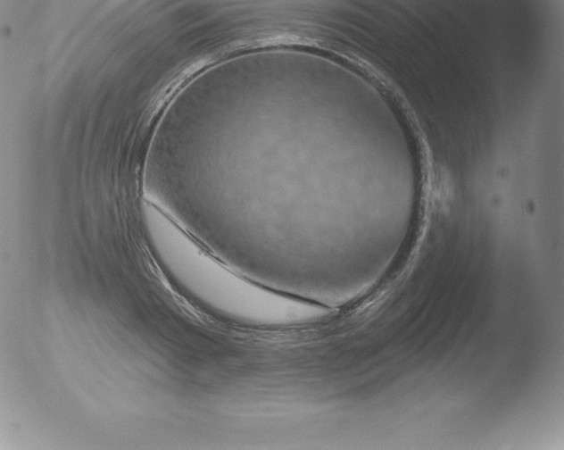 X0000051890793200507081937