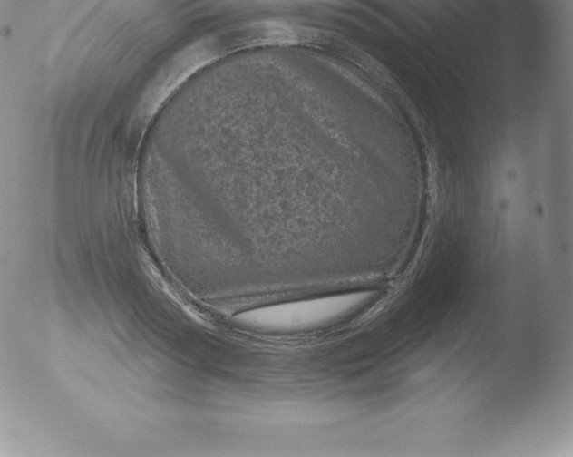 X0000051890794200507081937