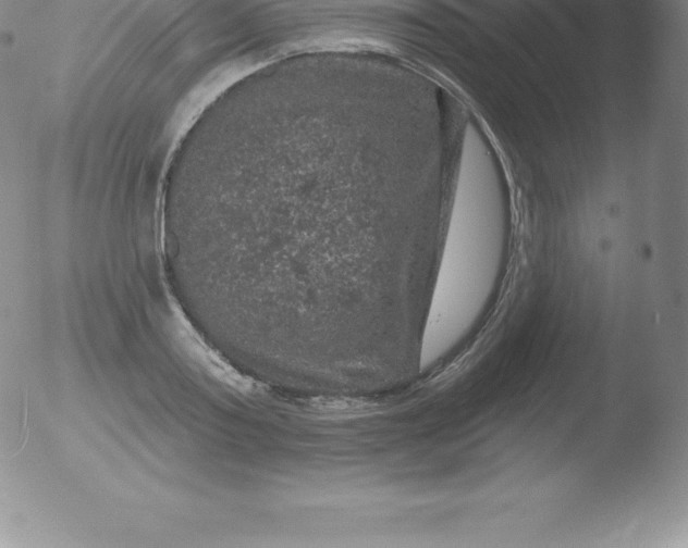 X0000051890795200507081937