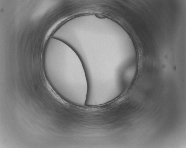 X0000051890796200507081937