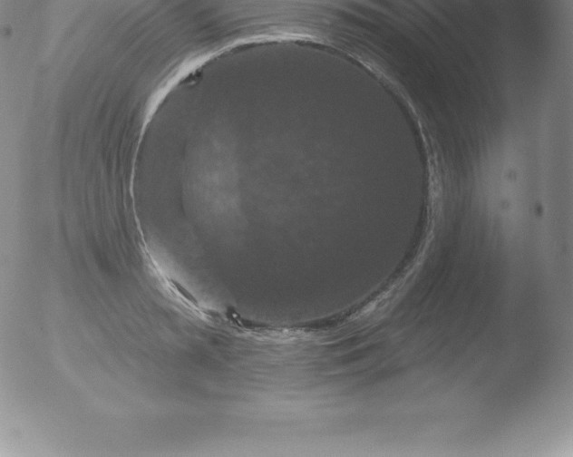 X0000051890797200507081937