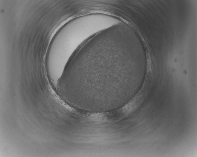 X0000051890798200507081937