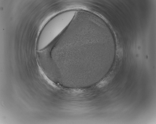 X0000051890799200507081937