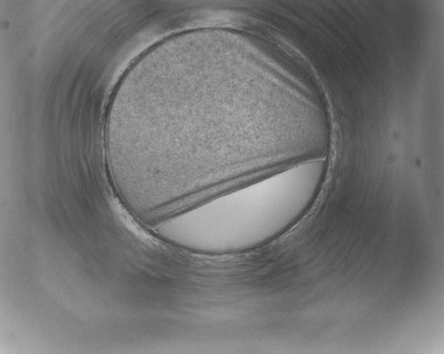 X0000051890800200507081937