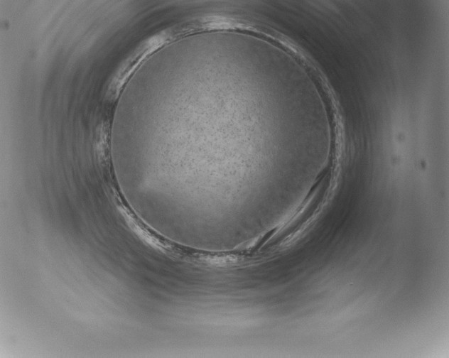 X0000051890801200507081937