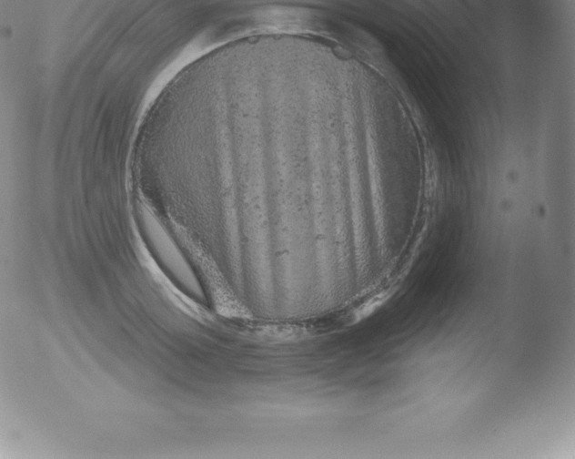 X0000051890803200507081937