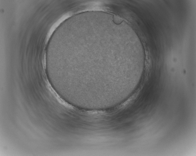 X0000051890804200507081937