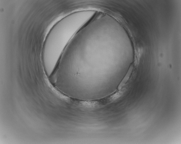 X0000051890805200507081937