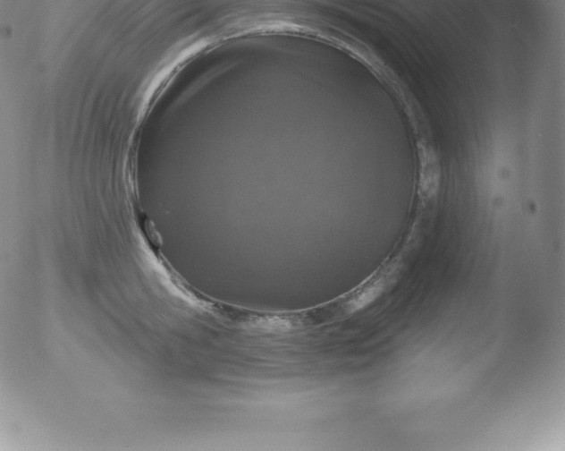 X0000051890806200507081937