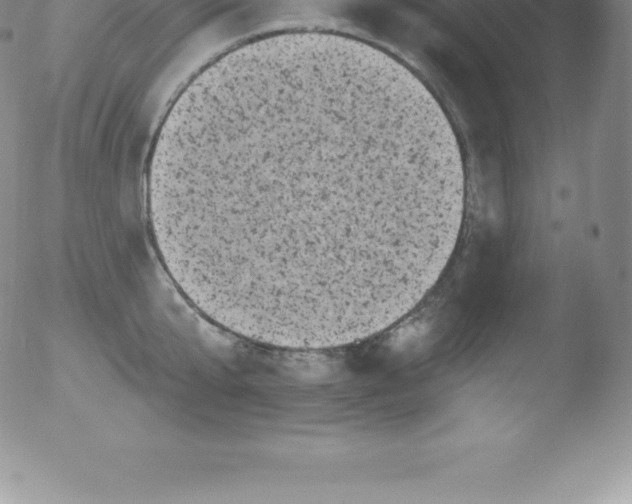 X0000051890807200507081937