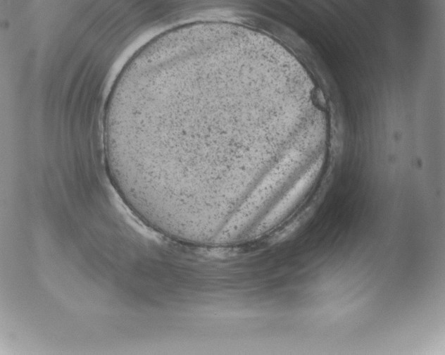 X0000051890808200507081937