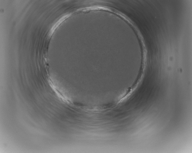 X0000051890809200507081937